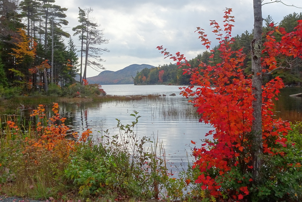 Nature In Class M By Art Yost For Jordan Pond Bar Harbor JAN-2019.jpg